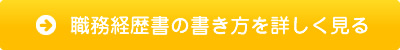 職務経歴書の書き方を詳しく見る